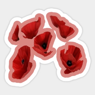 Red Poppies Artsy Floating Florals Arrangement Sticker